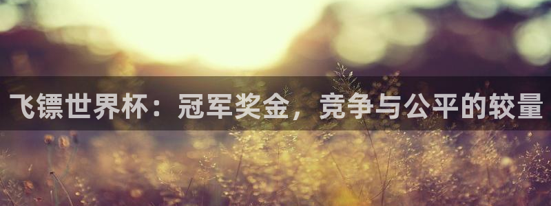 女足世界杯赛程：飞镖世界杯：冠军奖金，竞争与公平的较量