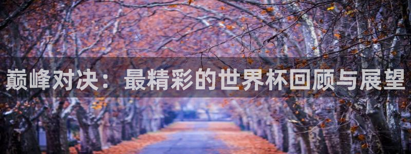 2026年世界杯赛程表时间：巅峰对决：最精彩的世界杯回顾与展望