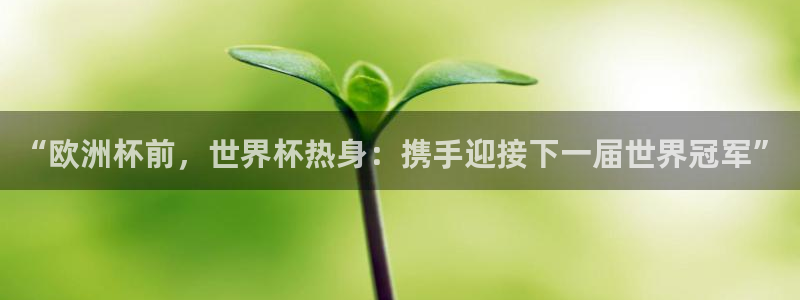 2026年世界杯赛程时间表格：“欧洲杯前，世界杯热身：携手迎接下一届世界冠军”