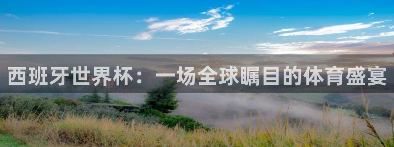 足球世界杯赛程：西班牙世界杯：一场全球瞩目的体育盛宴