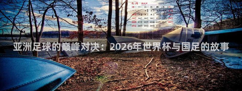 2026世界杯亚洲预选赛赛程：亚洲足球的巅峰对决：2026年世界杯与国足的故事