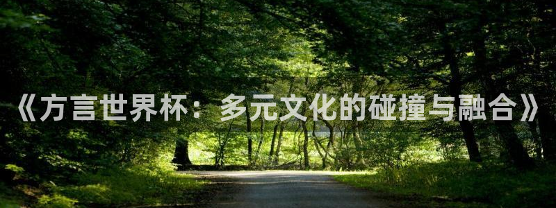 世界杯女足直播：《方言世界杯：多元文化的碰撞与融合》