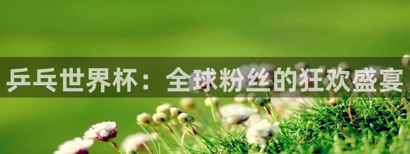 世界杯预选赛赛程表：乒乓世界杯：全球粉丝的狂欢盛宴