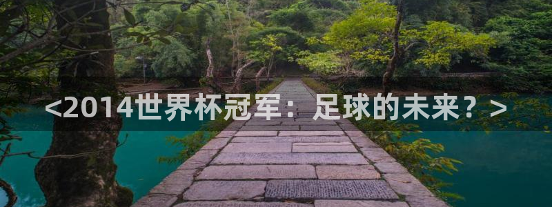 世界杯预选赛排名：<2014世界杯冠军：足球的未来？>