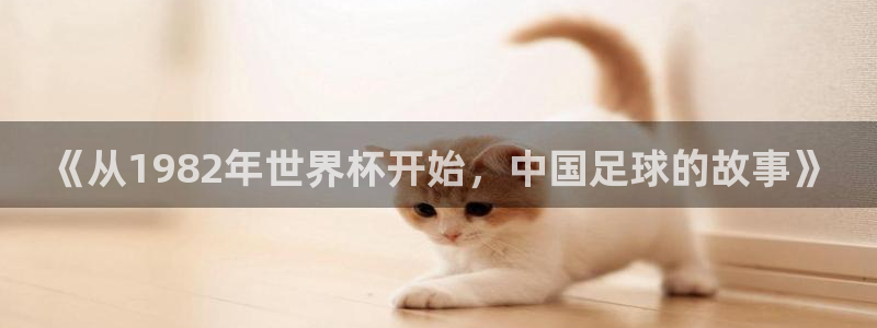 足球比分直播世界杯：《从1982年世界杯开始，中国足球的故事》