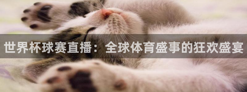 美国世界杯：世界杯球赛直播：全球体育盛事的狂欢盛宴