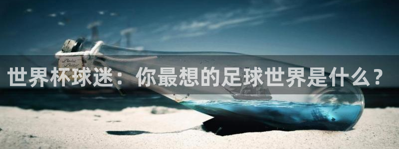 世界杯赛程表2026：世界杯球迷：你最想的足球世界是什么？