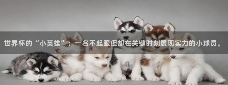 欧联杯直播：世界杯的“小英雄”：一名不起眼但却在关键时刻展现实力的小球员。