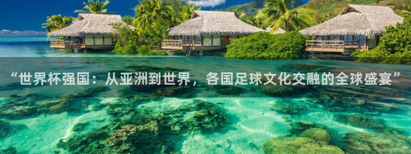 2026世界杯赛制：“世界杯强国：从亚洲到世界，各国足球文化交融的全球盛宴”
